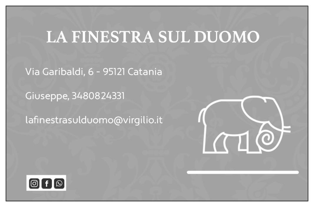 卡塔尼亚La Finestra Sul Duomo公寓 外观 照片